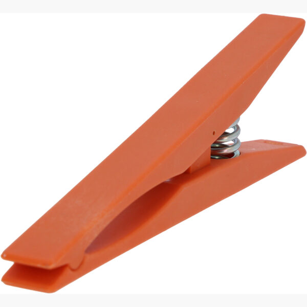 FOT_PRO_ALG_117.0161_SALL_AING_V1