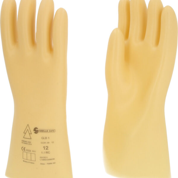 FOT_PRO_VAR_117.0056.2_SALL_AING_V1