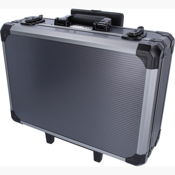 FOT_PRO_VAR_911.0630-99.4_SALL_AING_V1