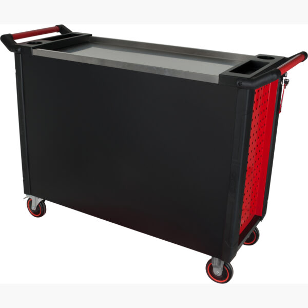 FOT_PRO_VAR_827.1007.2_SALL_AING_V1