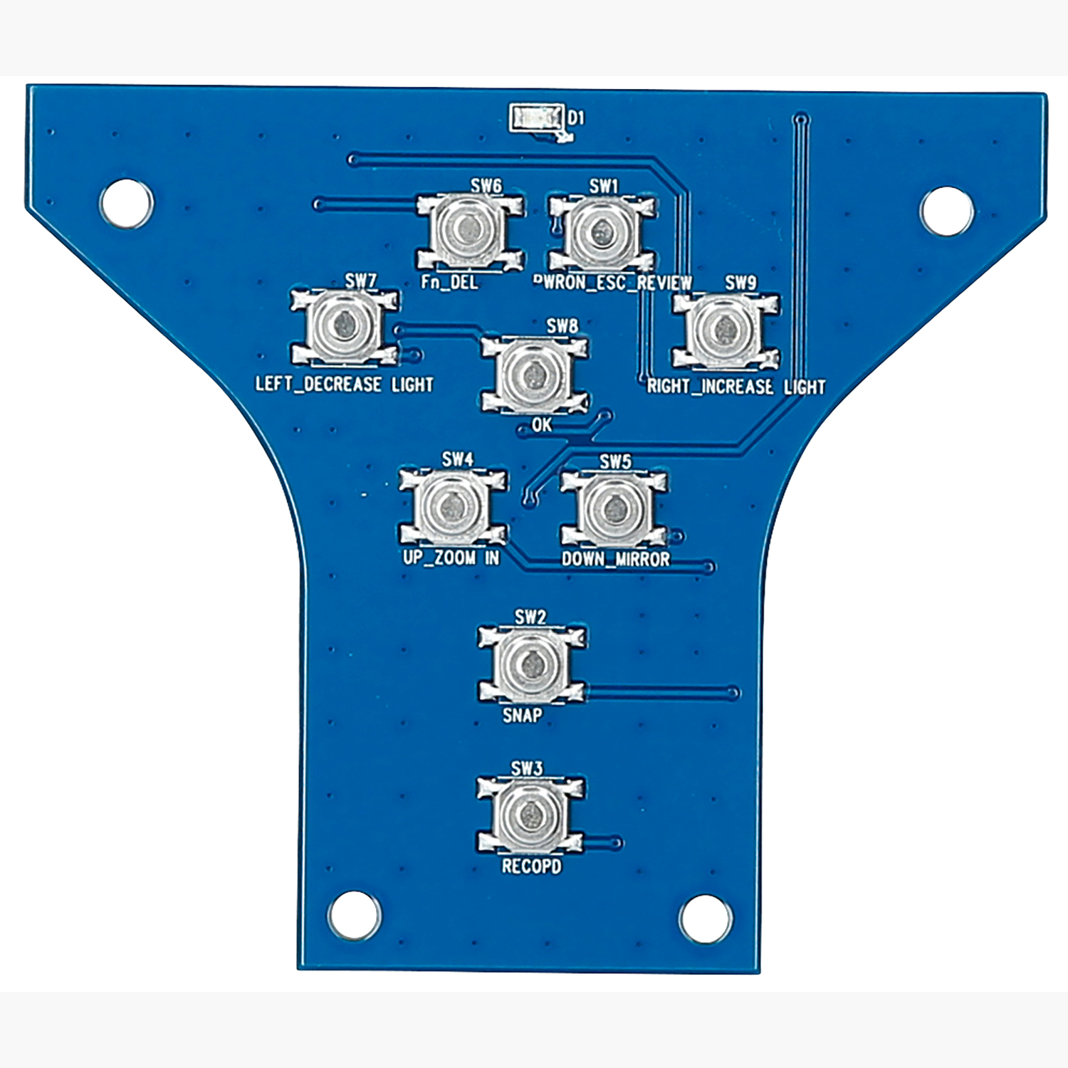 FOT_PRO_ALG_550.7999-R008P_SALL_AING_V1