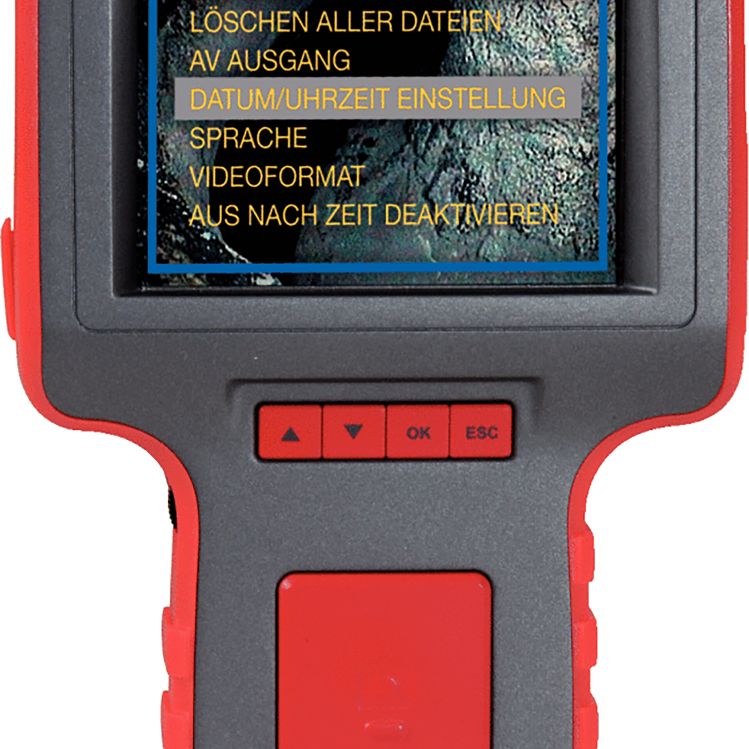 FOT_PRO_ALG_INSP_550.5400_SALL_AING_V1