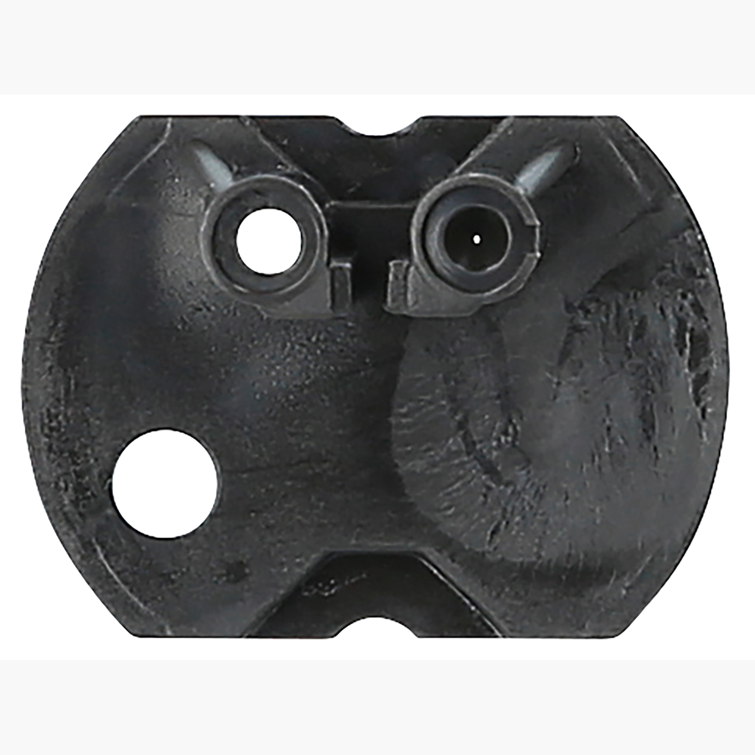 FOT_PRO_ALG_515.3356-R029P_SALL_AING_V1