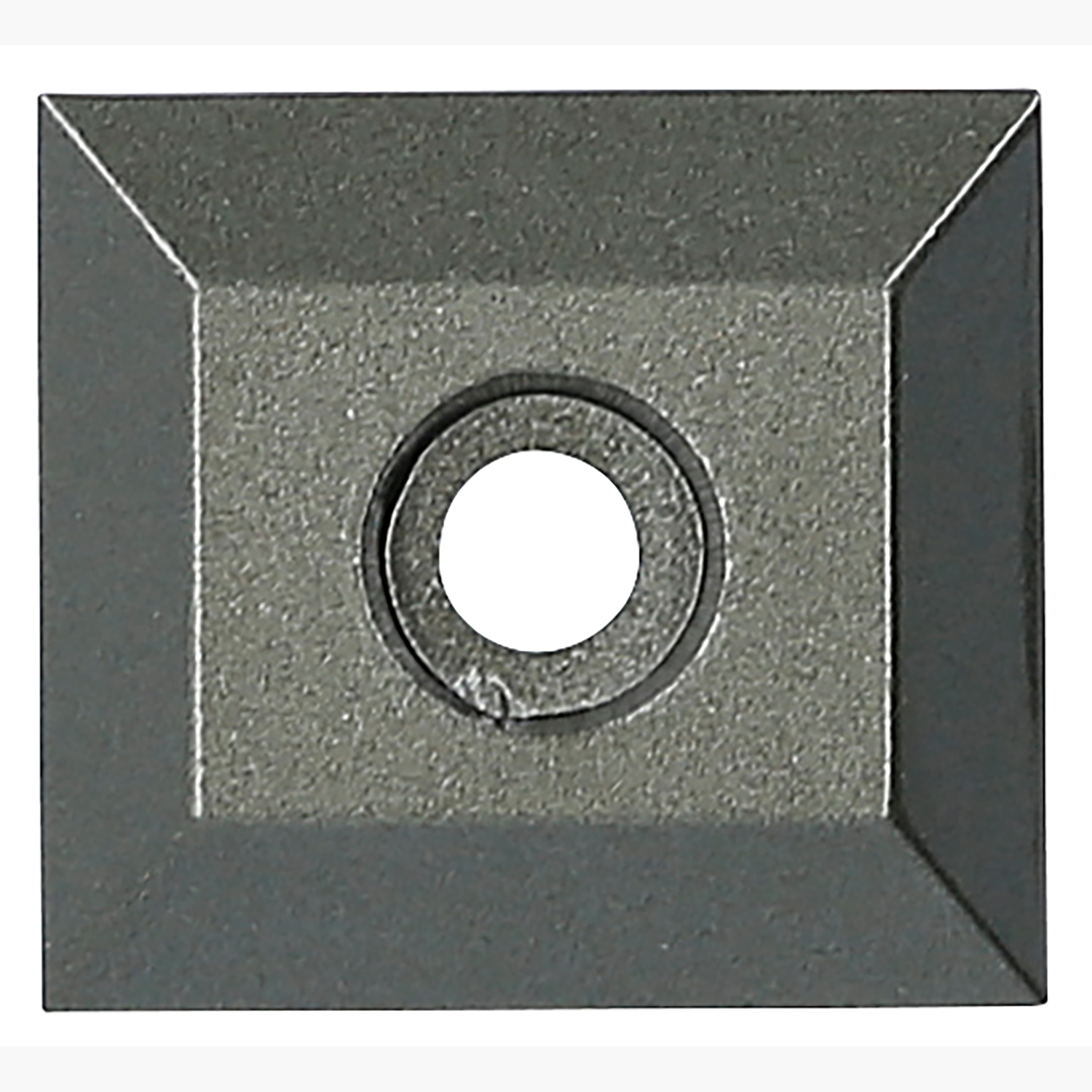 FOT_PRO_ALG_515.3356-R024P_SALL_AING_V1