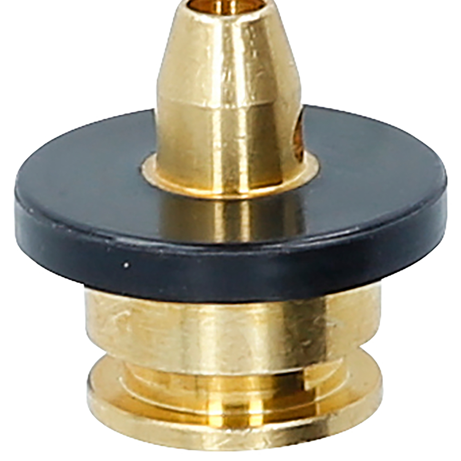 FOT_PRO_ALG_515.3356-R016P_SALL_AING_V1