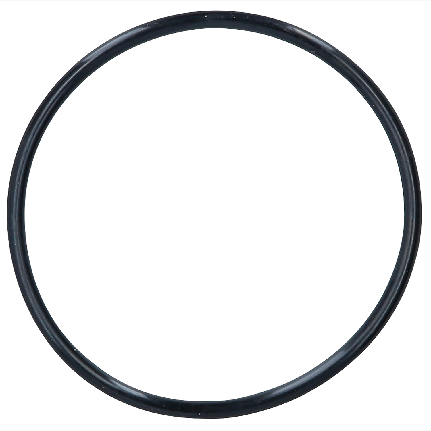 FOT_PRO_ALG_515.3356-R014P_SALL_AING_V1