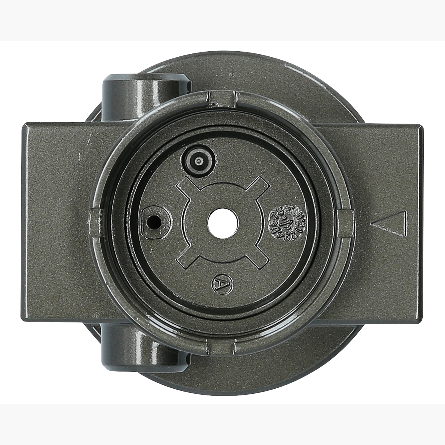 FOT_PRO_ALG_515.3356-R013P_SALL_AING_V1