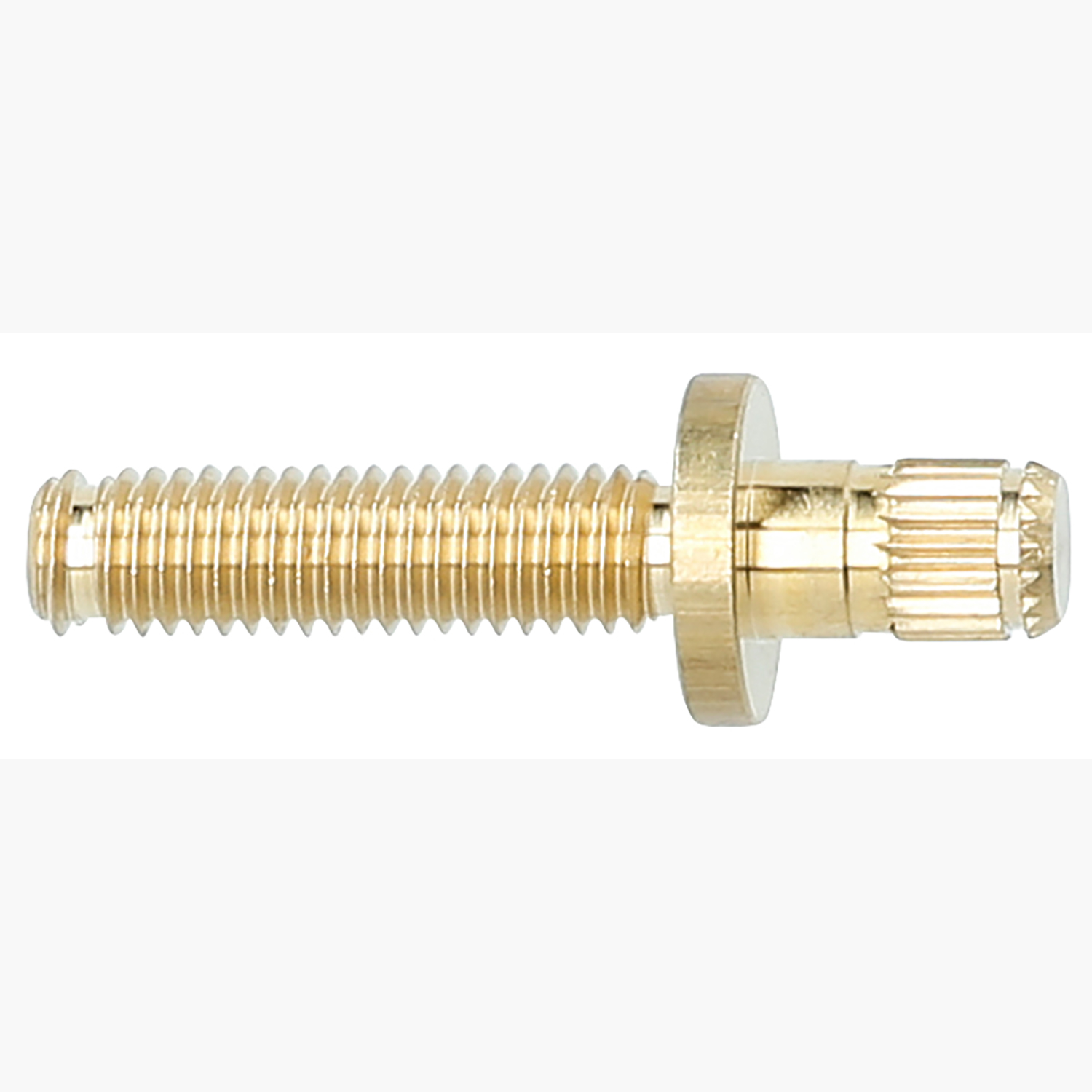 FOT_PRO_ALG_515.3356-R005P_SALL_AING_V1