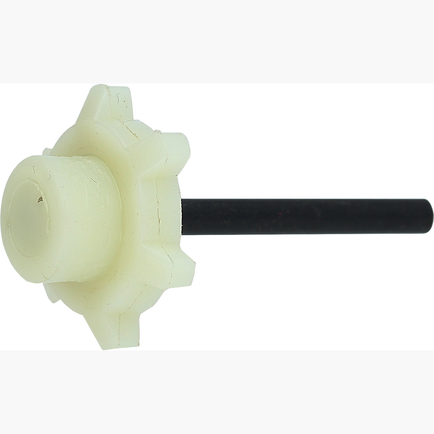 FOT_PRO_ALG_515.1200-R041P_SALL_AING_V1