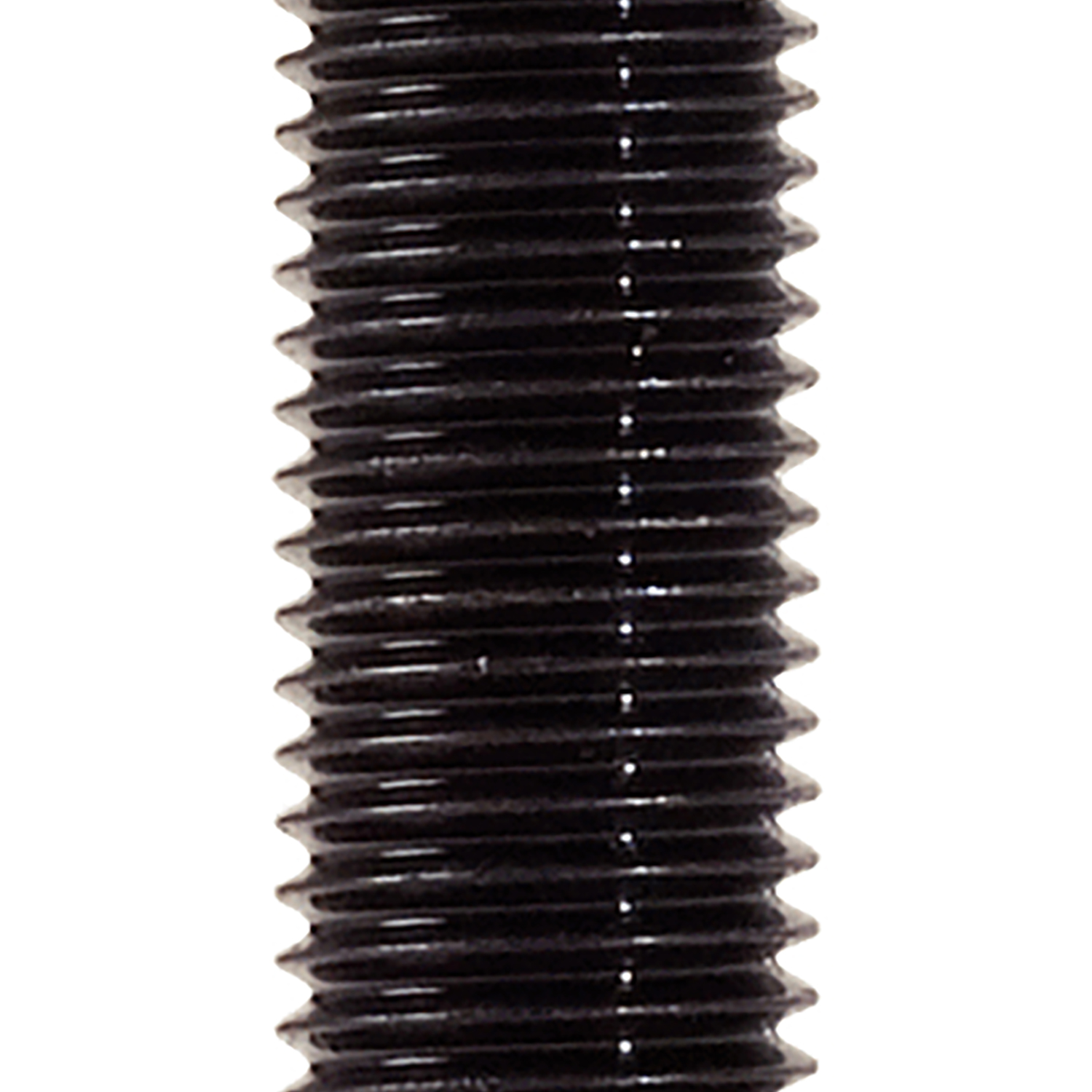 FOT_PRO_ALG_BOHR_129.000X(1-4)_SALL_AING_V1