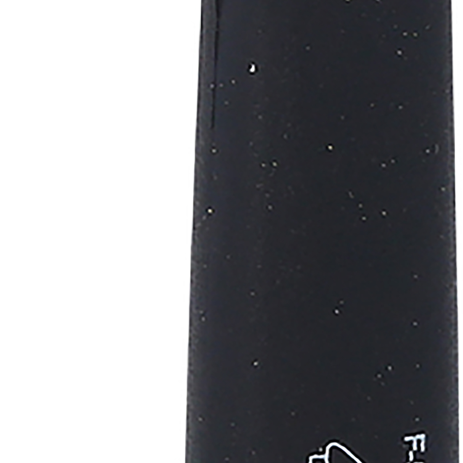 FOT_PRO_ALG_118.1309_SALL_AING_V1