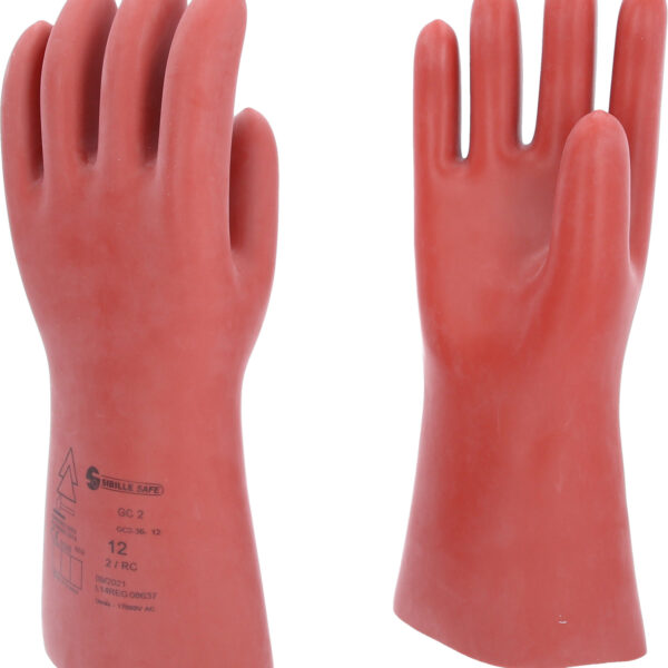 FOT_PRO_ALG_117.0077_SALL_AING_V1