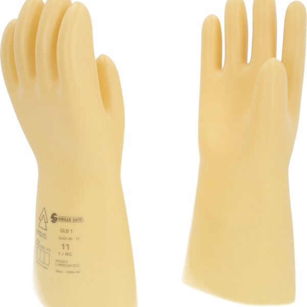 FOT_PRO_ALG_117.0055_SALL_AING_V1