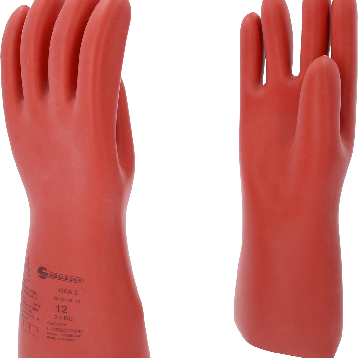 FOT_PRO_ALG_117.0095_SALL_AING_V1