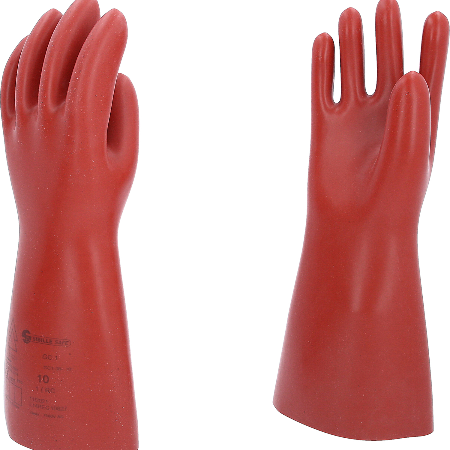 FOT_PRO_ALG_117.0072_SALL_AING_V1