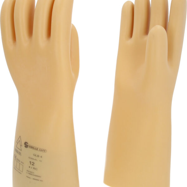 FOT_PRO_ALG_117.0065_SALL_AING_V1