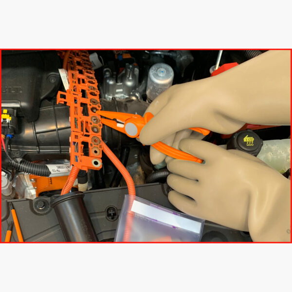 FOT_ANW_ALG_WZAL_117.00XX(48-65).AW1_SALL_AING_V1