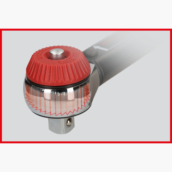 FOT_ANW_ALG_STK_516.14XX(12-95).AW4_SALL_AING_V1