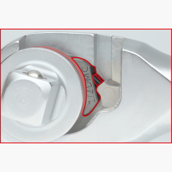 FOT_ANW_ALG_STK_935.XXXX(1285-95).AW12_SALL_AING_V1