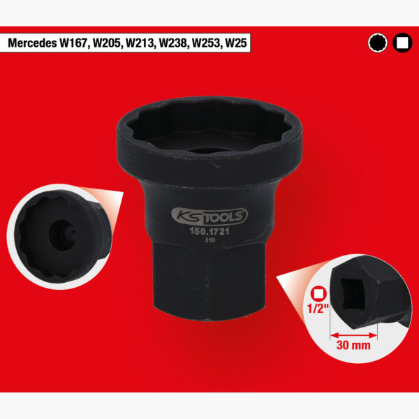 FOT_GES_ALG_150.1721.GB_SALL_AING_V1