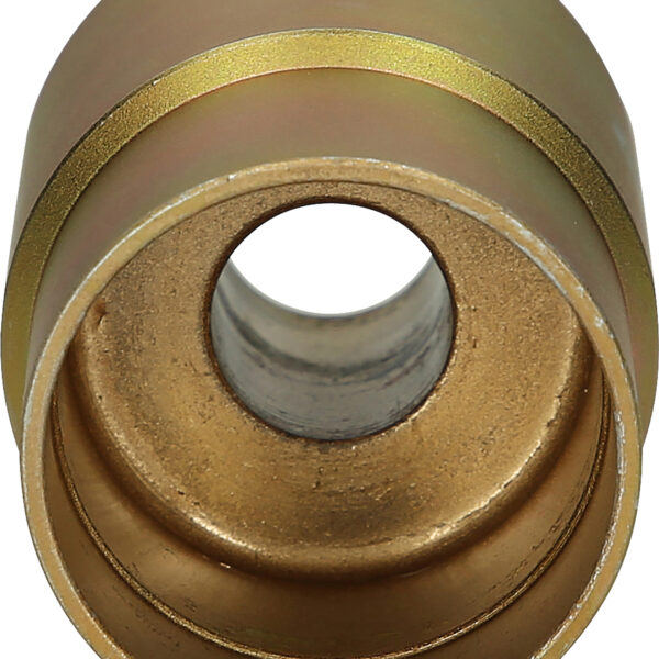 FOT_PRO_VAR_460.4909.4_SALL_AING_V1