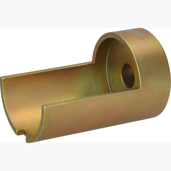 FOT_PRO_ALG_460.4912_SALL_AING_V1