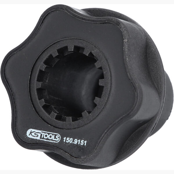 FOT_PRO_ALG_150.9151_SALL_AING_V1