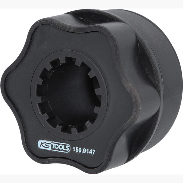 FOT_PRO_ALG_150.9147_SALL_AING_V1