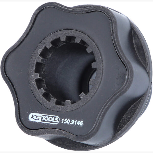 FOT_PRO_ALG_150.9146_SALL_AING_V1