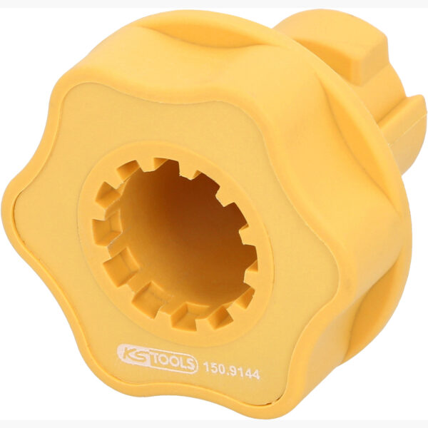 FOT_PRO_ALG_150.9144_SALL_AING_V1