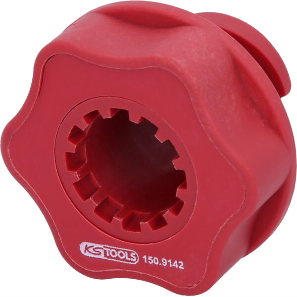 FOT_PRO_ALG_150.9142_SALL_AING_V1