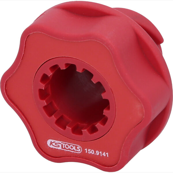 FOT_PRO_ALG_150.9141_SALL_AING_V1