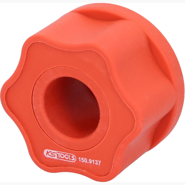 FOT_PRO_ALG_150.9137_SALL_AING_V1