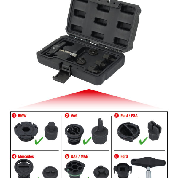 FOT_GES_ALG_150.1030.GB_SALL_AING_V1