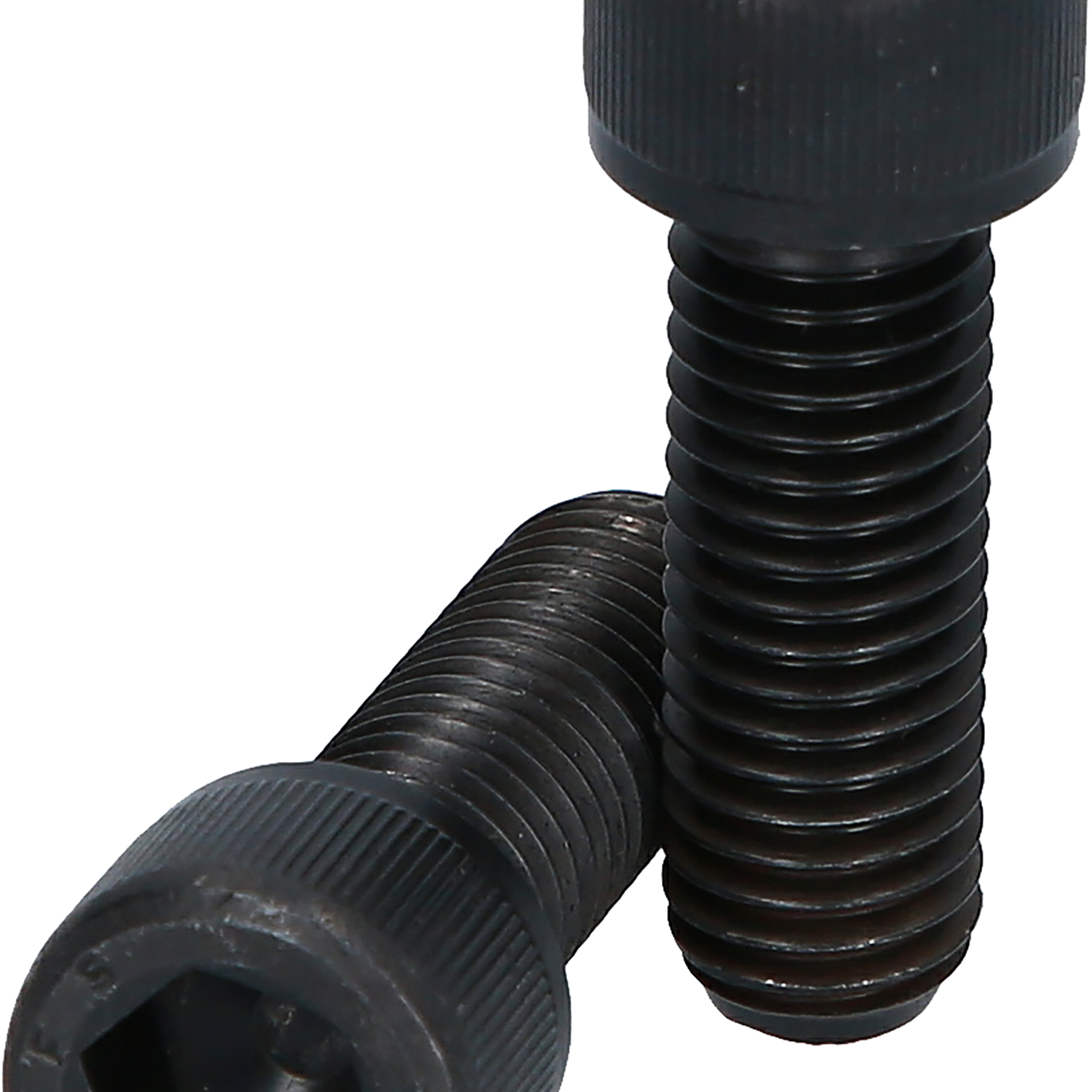 FOT_PRO_ALG_500.8493-01_SALL_AING_V1