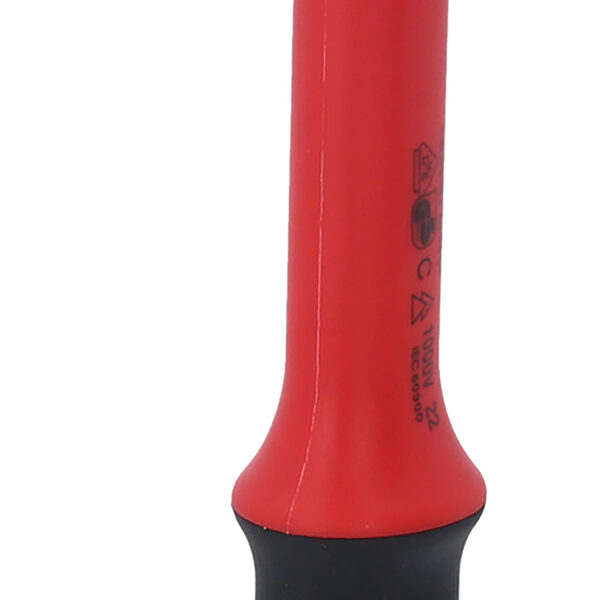 FOT_PRO_ALG_118.1290_SALL_AING_V1