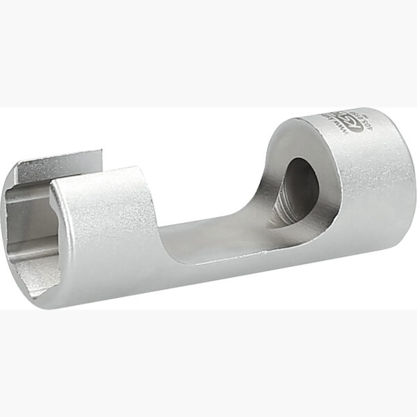 FOT_PRO_ALG_405.0159_SALL_AING_V1