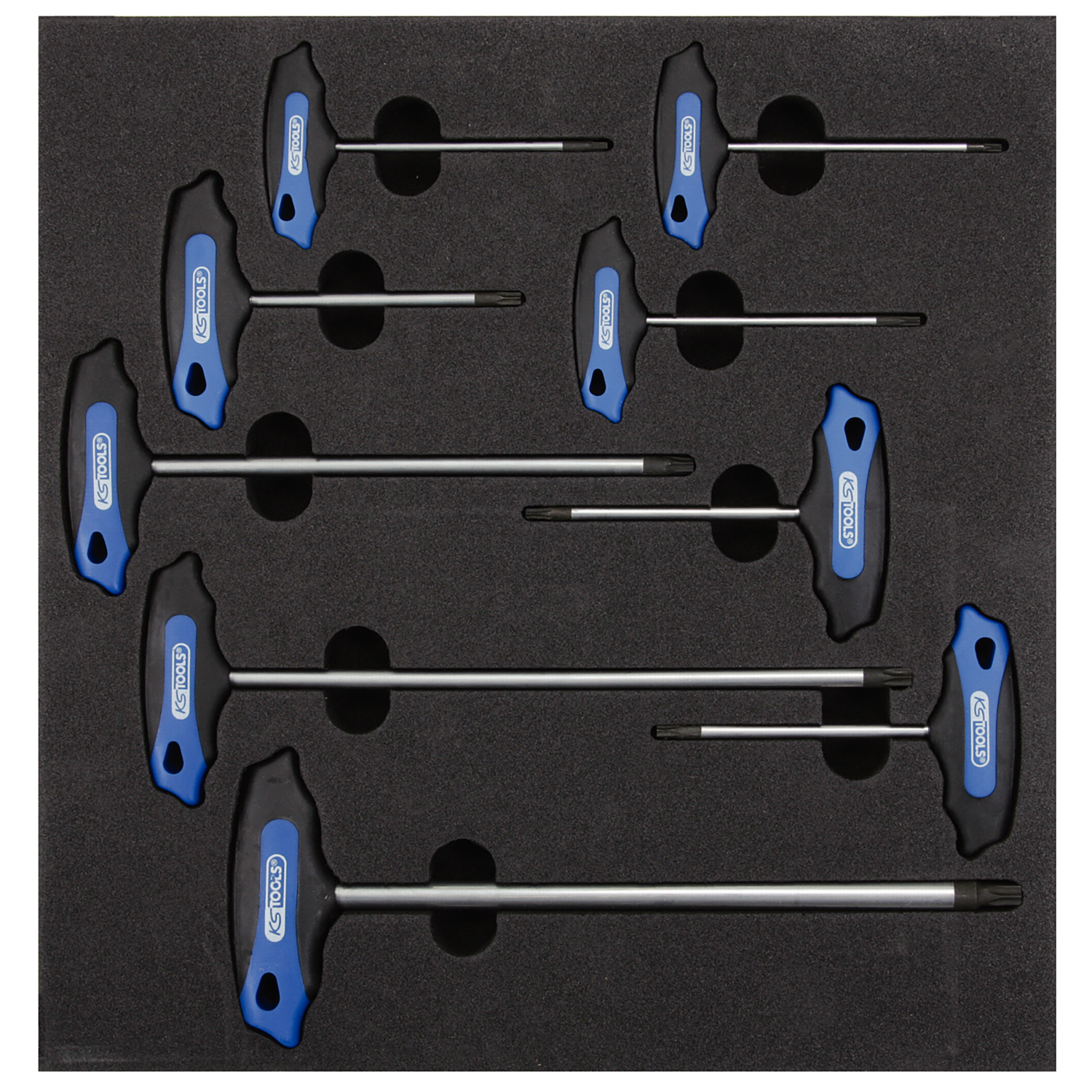 FOT_PRO_ALG_EINR_818.2351_SALL_AING_V1