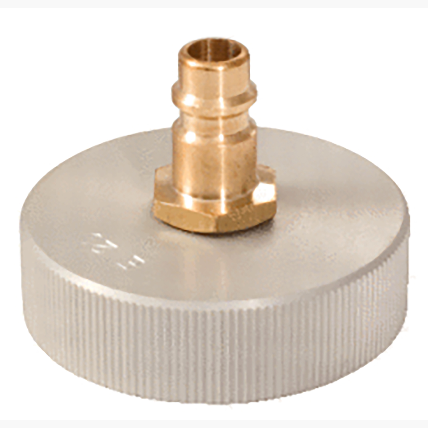 FOT_PRO_ALG_AUTO_160.0712_SALL_AING_V1