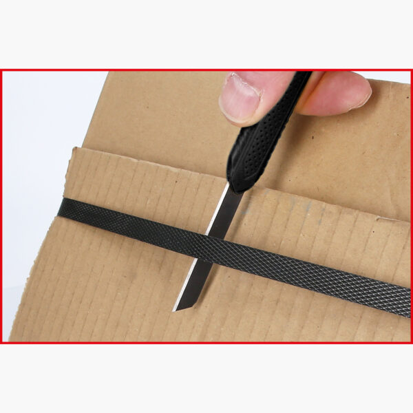 FOT_ANW_ALG_SCHESAE_907.2171.AW3_SALL_AING_V1