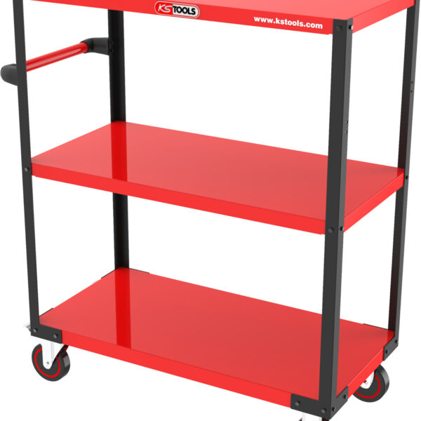 FOT_PRO_VAR_890.0009.2_SALL_AING_V1