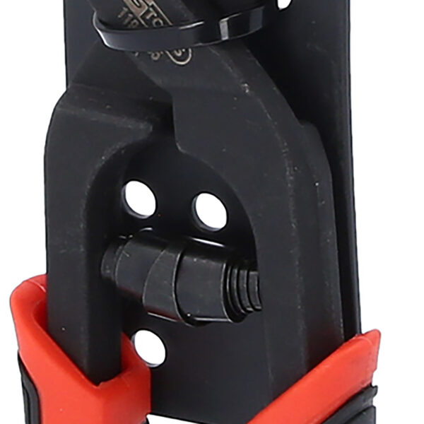 FOT_PRO_VAR_119.0005.4_SALL_AING_V1