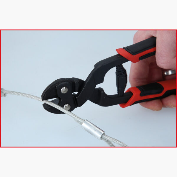 FOT_ANW_ALG_ZA_119.0005.AW2_SALL_AING_V1