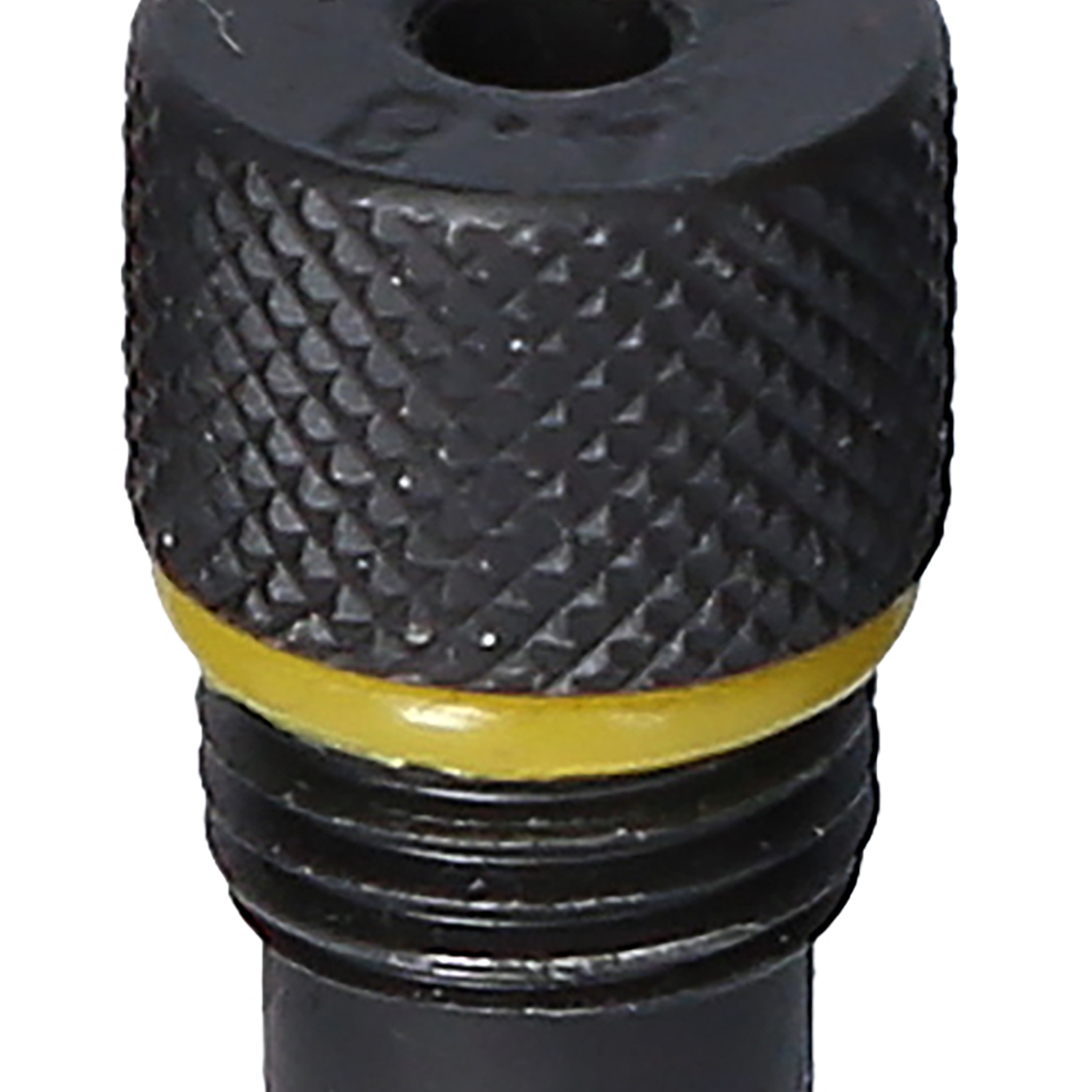 FOT_PRO_ALG_150.9810_SALL_AING_V1