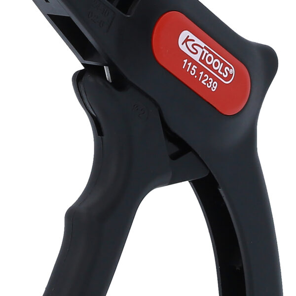 FOT_PRO_ALG_115.1239_SALL_AING_V1