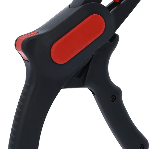 FOT_PRO_VAR_115.1239.2_SALL_AING_V1