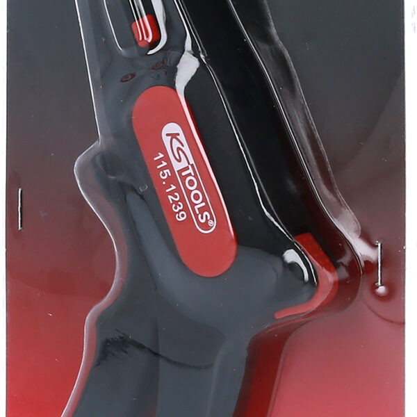 FOT_PRO_VAR_115.1239.4_SALL_AING_V1