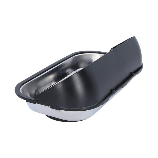 FOT_PRO_VAR_BT691166.1_SALL_AING_V1