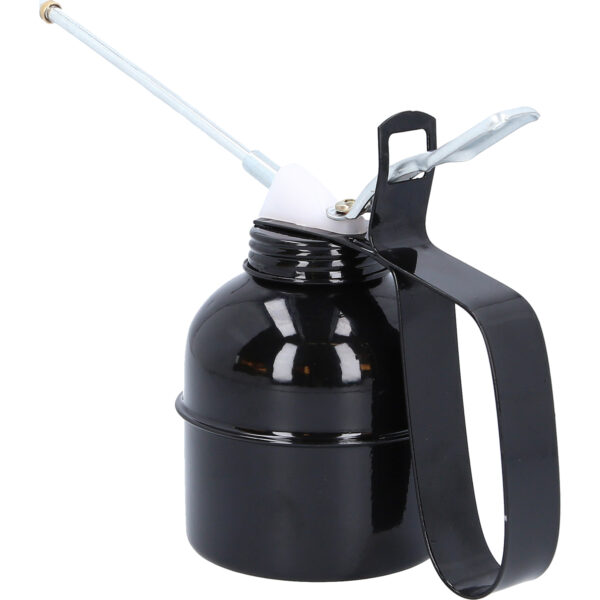 FOT_PRO_VAR_BT156917.1_SALL_AING_V1