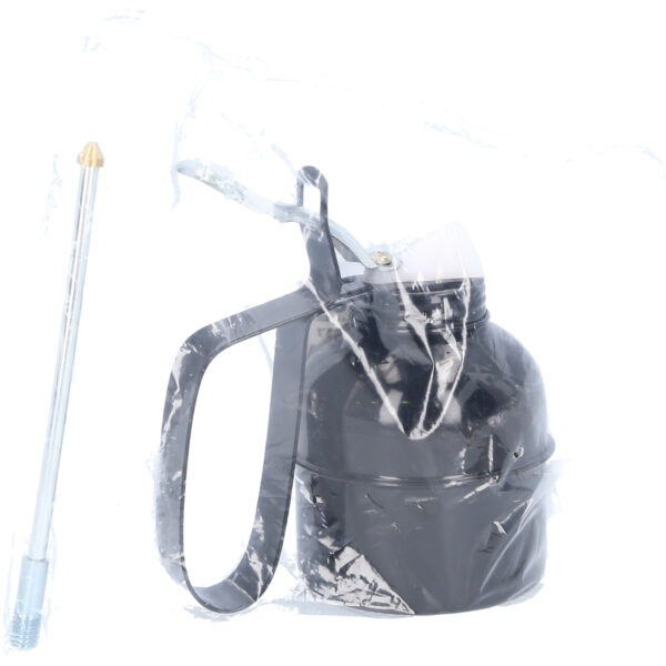 FOT_PRO_VAR_BT156917.6_SALL_AING_V1